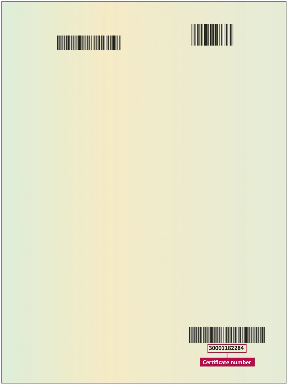 An example of the back of a New South Wales birth certificate, showing where to locate personal information.